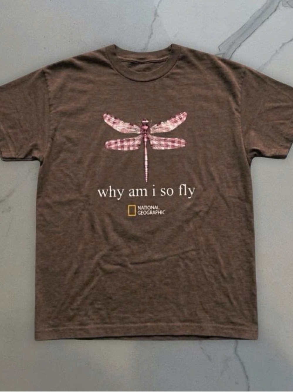 Brown Short-Sleeve Tee with Pink Dragonfly Graphic